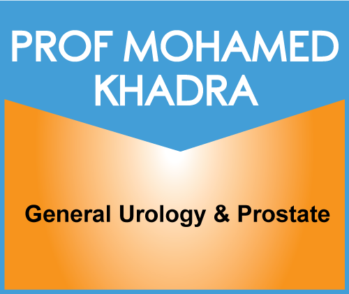 Prof Mohamed Khadra